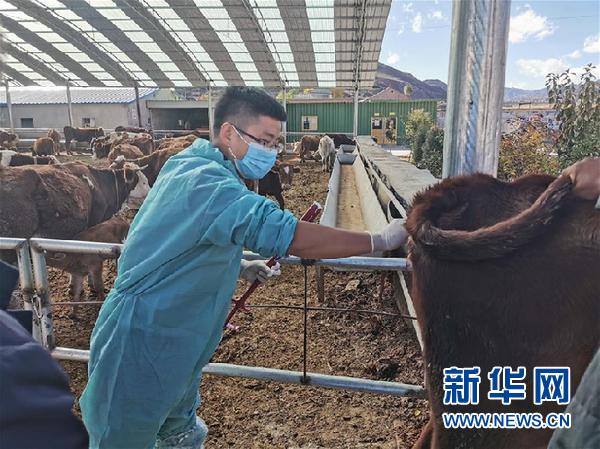 （決戰(zhàn)決勝脫貧攻堅(jiān)·圖文互動(dòng)）（2）脫貧“不暫?！?服務(wù)“不打烊”——天津通過“云端”幫扶為甘肅受援地區(qū)戰(zhàn)貧繼續(xù)助力