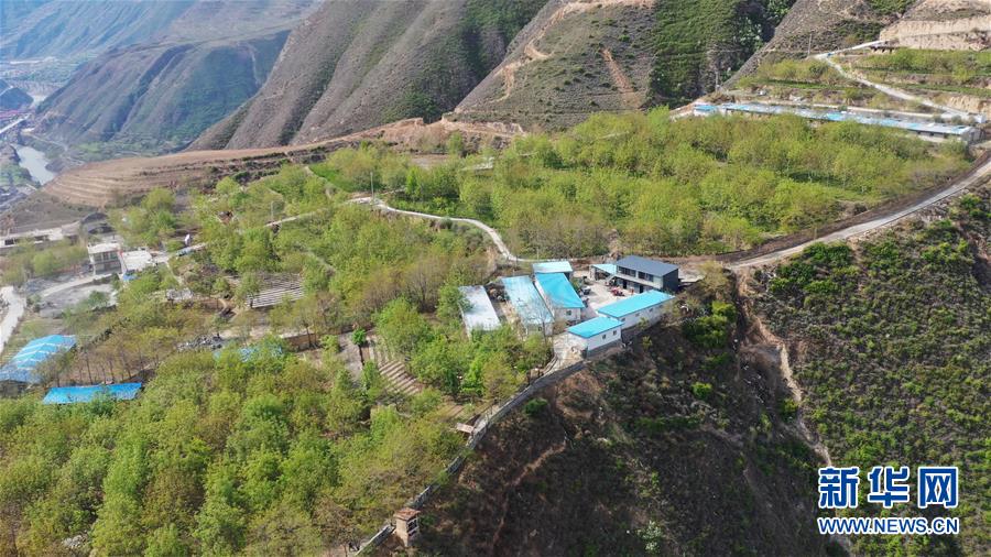 (脫貧攻堅(jiān)·圖片故事)(2)“90后新農(nóng)人”的返鄉(xiāng)致富路