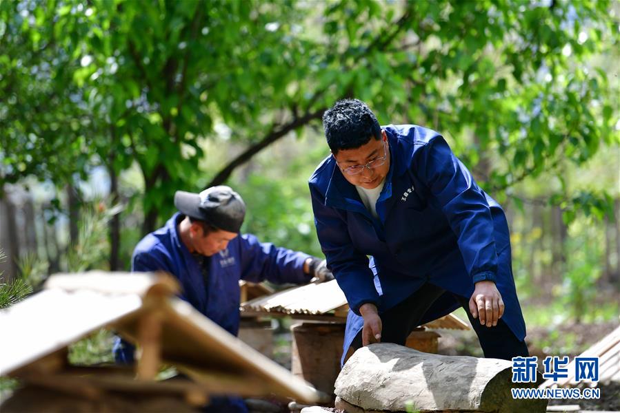 (脫貧攻堅(jiān)·圖片故事)(3)“90后新農(nóng)人”的返鄉(xiāng)致富路