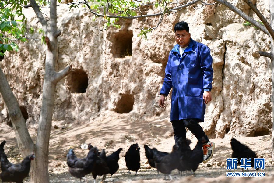 (脫貧攻堅(jiān)·圖片故事)(5)“90后新農(nóng)人”的返鄉(xiāng)致富路