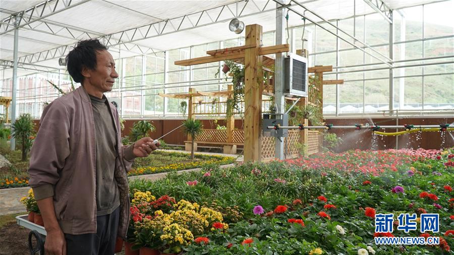 （圖文互動(dòng)）（2）云端鋪就幸福路——四川甘孜州脫貧奔小康一線(xiàn)見(jiàn)聞