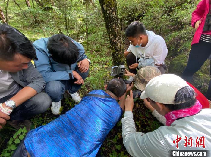 圖為訪客正在查看紅外相機(jī)中的拍攝畫面?！±罱瓕?攝