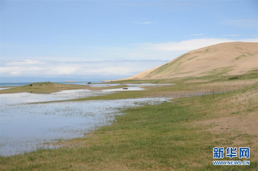 (新華全媒頭條·圖文互動(dòng))(12)大湖見(jiàn)證 ——持續(xù)保護(hù)讓青海湖生態(tài)華麗“蝶變”