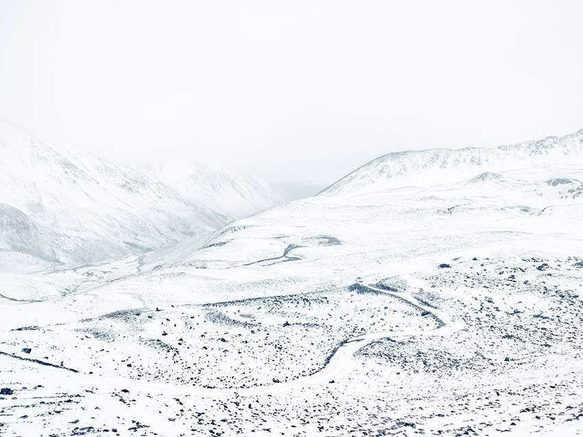 資料圖。云南白馬雪山國家級自然保護(hù)區(qū)供圖