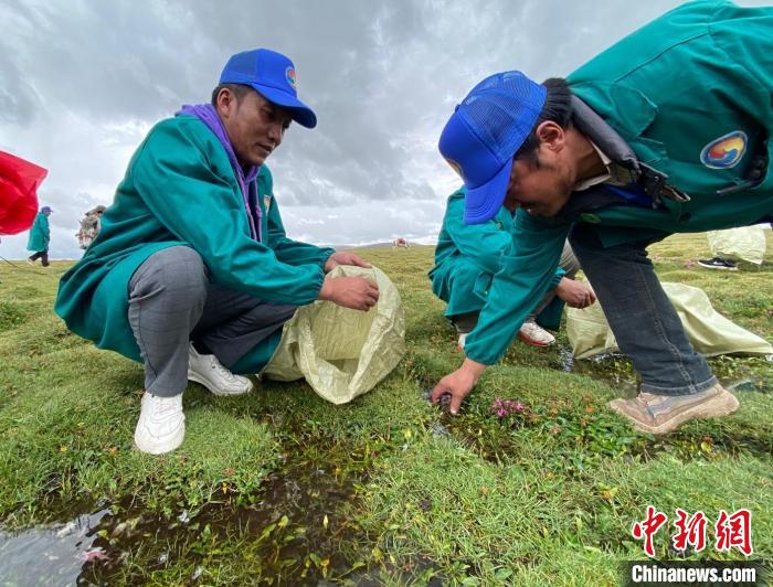 長(zhǎng)江南源牧民保護(hù)隊(duì):將保護(hù)家園的心傳承下去