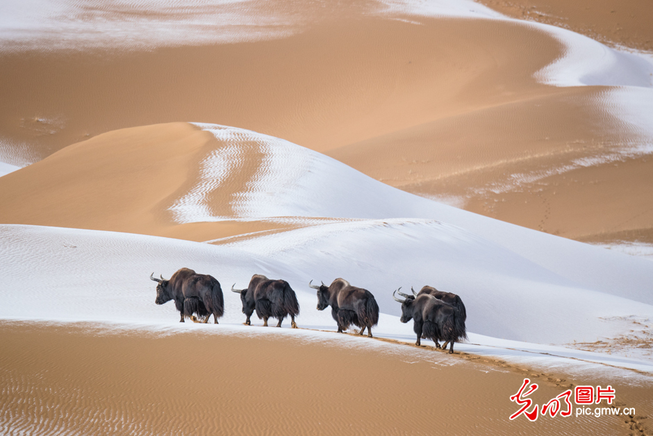 三江源國(guó)家公園正式設(shè)立，這是青海生態(tài)文明建設(shè)的新答卷
