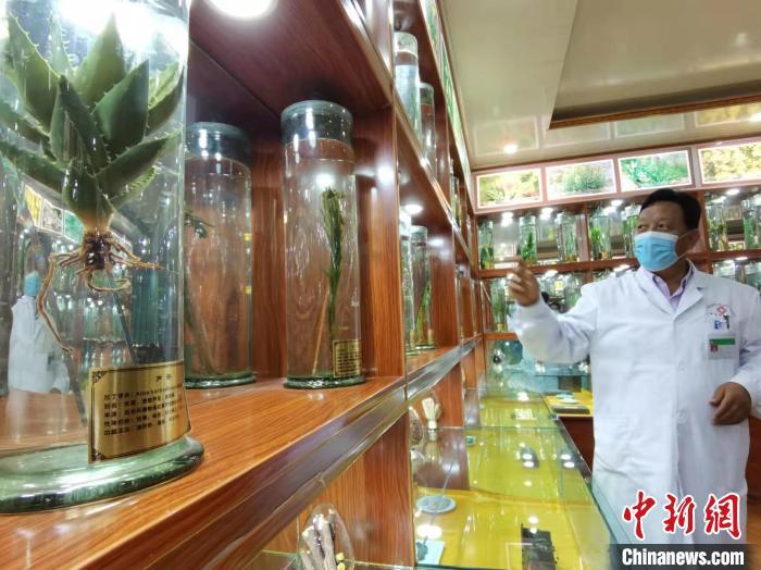 甘肅省甘南藏族自治州碌曲縣藏醫(yī)院副院長看照加近30年的從醫(yī)工作，堅持中藏醫(yī)特色優(yōu)勢相結(jié)合診療方法?！堟?攝