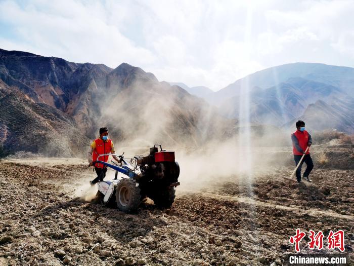 圖為拖拉機(jī)在山地犁地?！?zhí)砀?攝