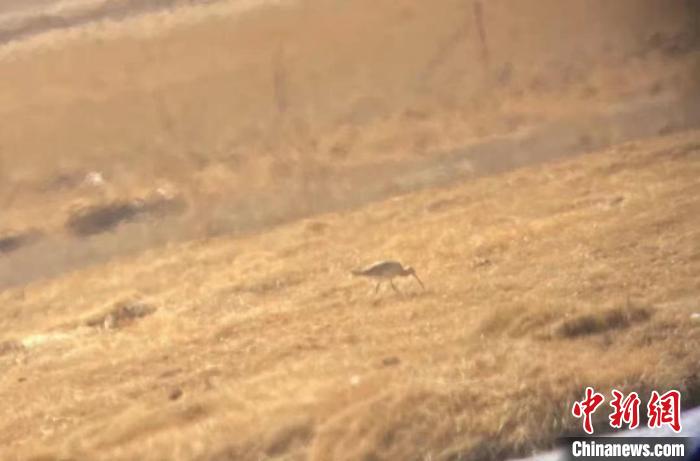 隆寶國(guó)家級(jí)自然保護(hù)區(qū)鳥(niǎo)類(lèi)名錄增加到134種