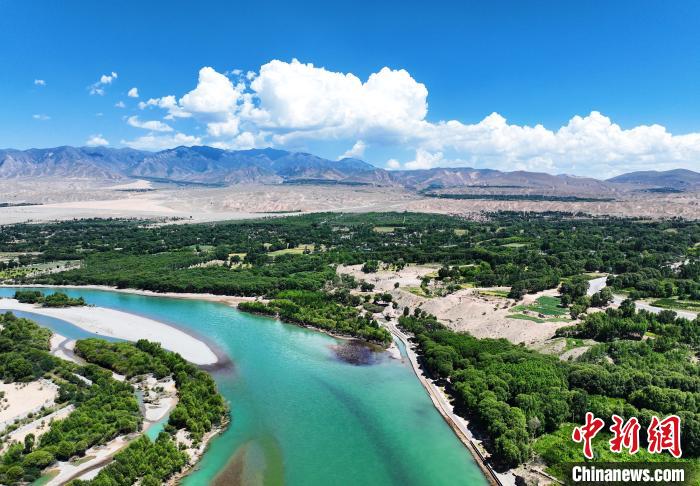 航拍貴德縣黃河岸畔綠意盎然?！●R銘言 攝