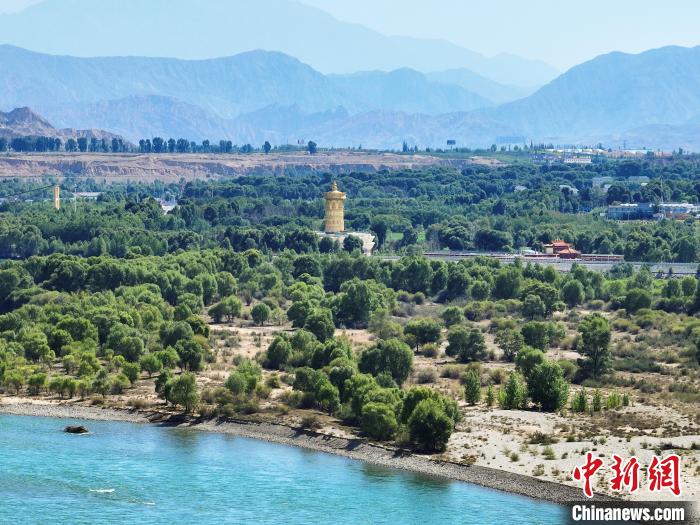 航拍貴德縣黃河岸畔綠意盎然?！●R銘言 攝