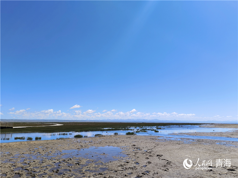   青海湖仙女灣。人民網(wǎng) 張莉萍攝