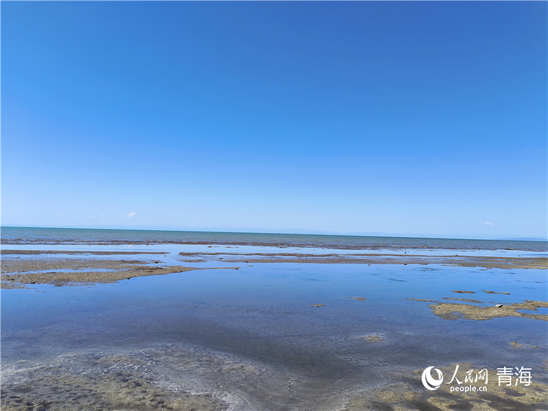   青海湖仙女灣。人民網(wǎng) 張莉萍攝