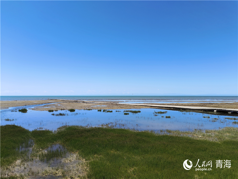   青海湖仙女灣。人民網(wǎng) 張莉萍攝