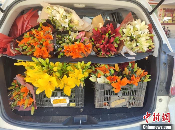 剛剛采摘下來的百合花?！∪捞量h委宣傳部供圖