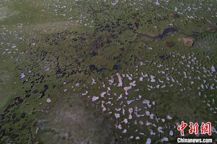 航拍查旦濕地?！●R銘言 攝