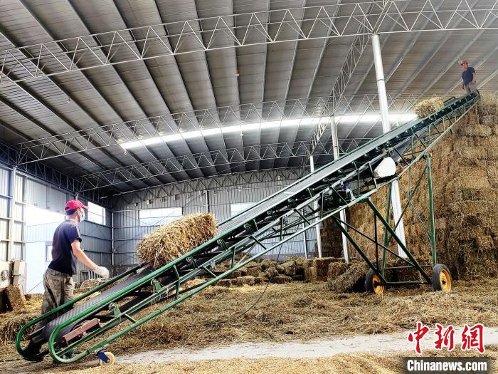 圖為飼草打捆、儲(chǔ)存?！●R芝芬 攝