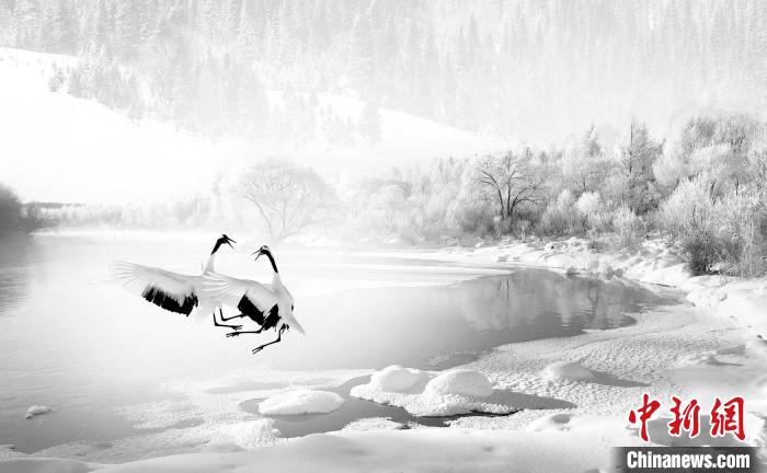 圖為焦生福的作品《鶴嬉雪林》?！∏嗪Ｊ∑钸B山自然保護(hù)協(xié)會(huì)供圖