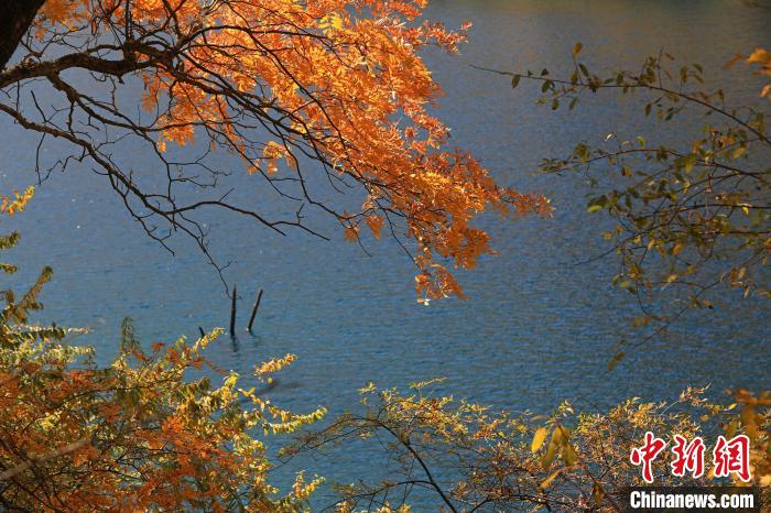 松坪溝風(fēng)光?！⑼?攝