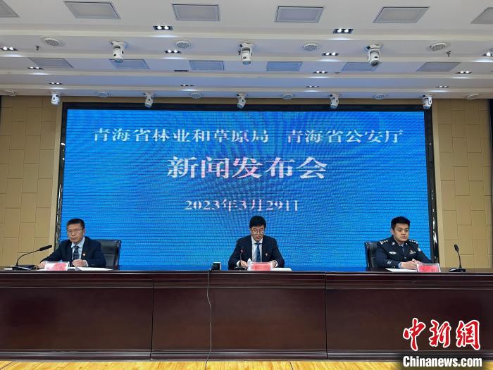 青海去年占用林地、草地準(zhǔn)予許可件同比實(shí)現(xiàn)“雙減”