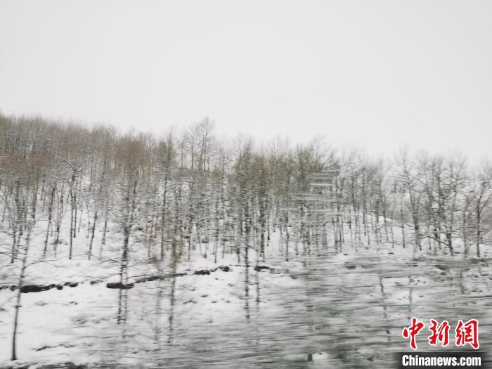 圖為青海青沙山區(qū)域被降雪覆蓋?！?zhí)砀?攝