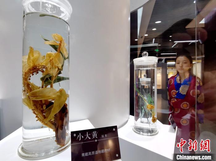 青海中藏醫(yī)藥發(fā)展提速：建設(shè)一批重點專科學(xué)科，推廣一批適宜技術(shù)