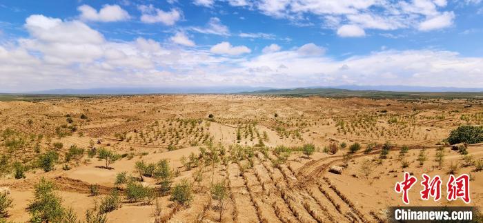 資料圖為貴南縣黃沙頭的防沙治沙草方格?！∑钤鲚?攝