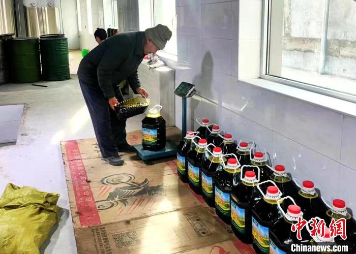 圖為高原油菜籽榨出的菜籽油?！埖么?攝