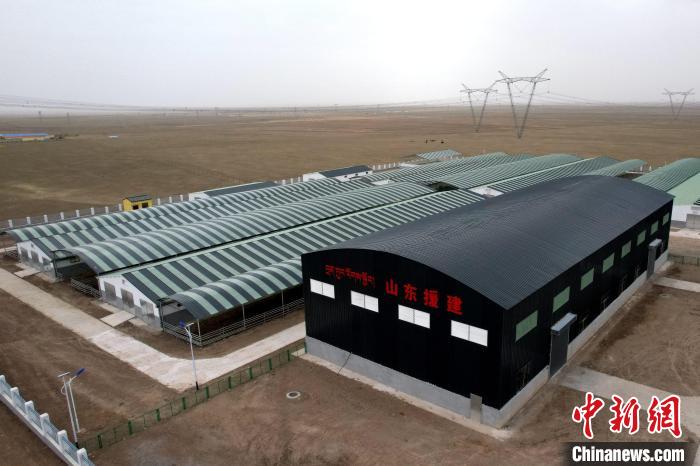 圖為航拍生態(tài)畜牧業(yè)集中規(guī)?；B(yǎng)殖基地?！〔讨绢?攝
