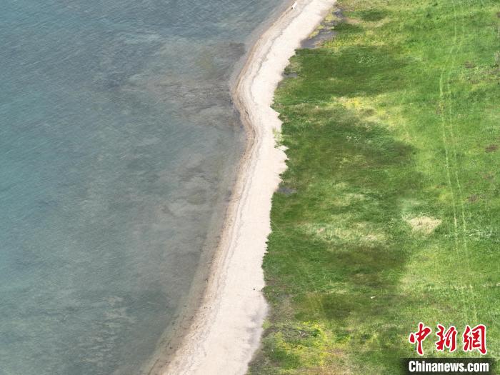圖為航拍仲夏時節(jié)，青海湖畔綠茵如毯?！∑钤鲚?攝