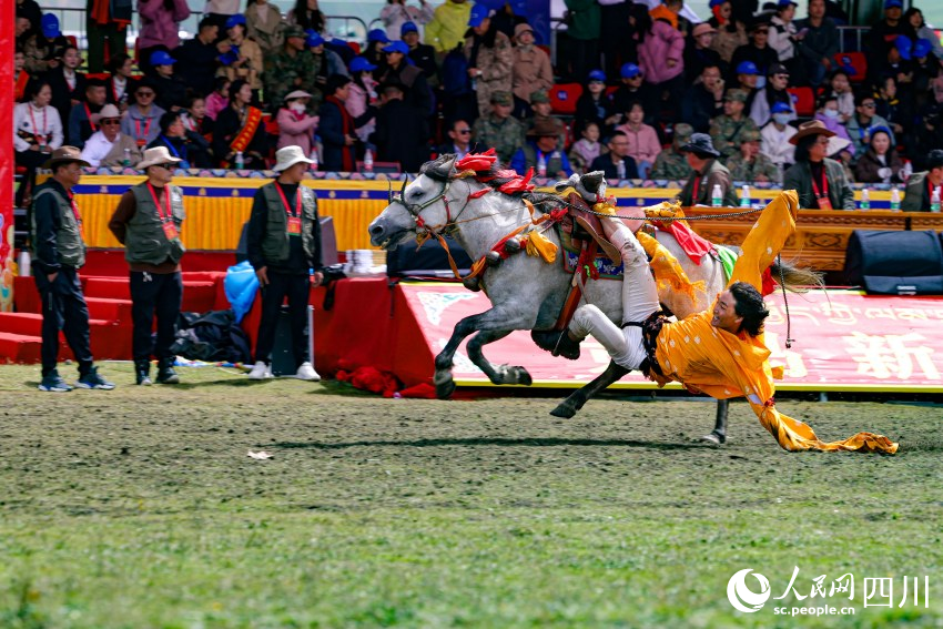馬術(shù)表演現(xiàn)場。洛絨尼瑪攝
