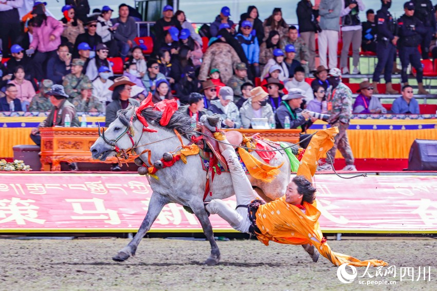 馬術(shù)表演現(xiàn)場。洛絨尼瑪攝