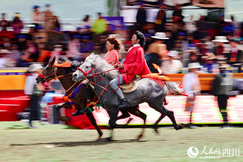 馬術(shù)表演現(xiàn)場。洛絨尼瑪攝
