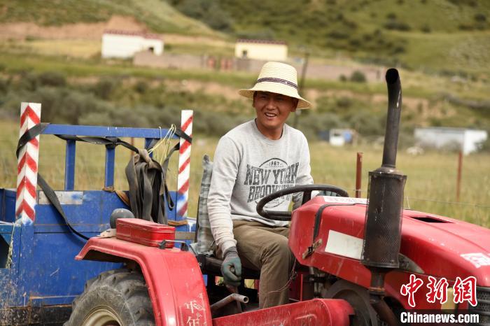 青海囊謙：喜迎秋收，又是一年“豐”景