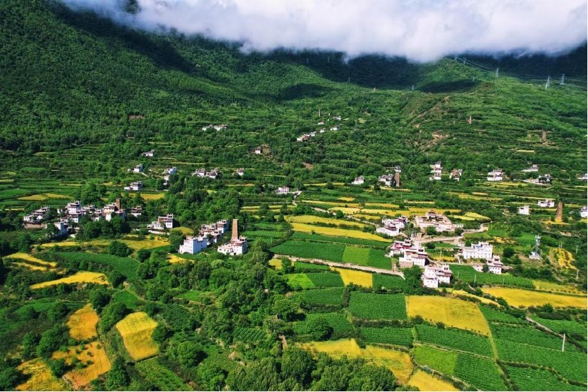 綠色丹巴。丹巴縣委宣傳部供圖