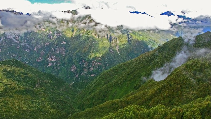 丹巴縣牦牛谷省級森林公園風(fēng)光。丹巴縣委宣傳部供圖