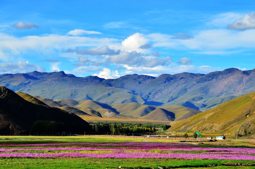 稻城風(fēng)光。稻城縣委宣傳部供圖