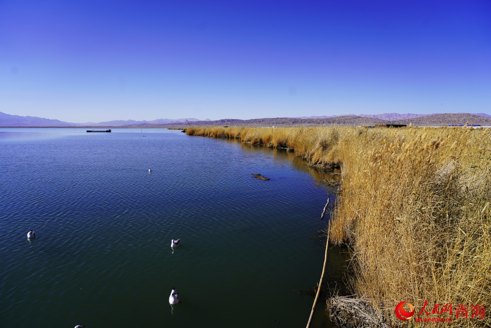 可魯克湖秋色如畫。人民網(wǎng) 陳明菊攝