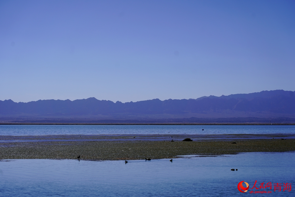 安靜的可魯克湖。人民網(wǎng) 陳明菊攝