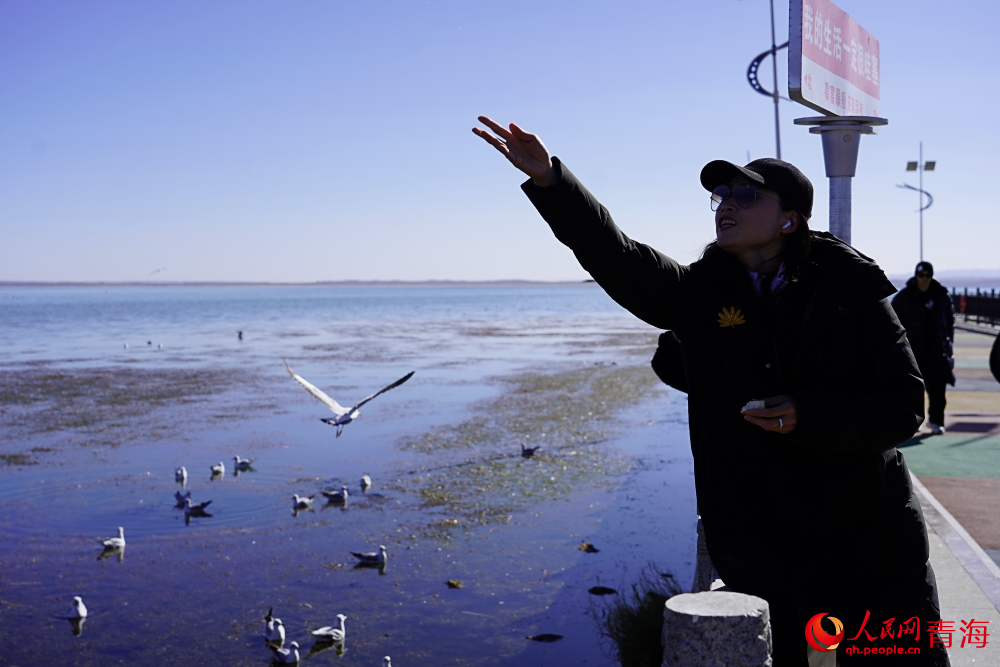 游客投喂水鳥。人民網(wǎng) 陳明菊攝