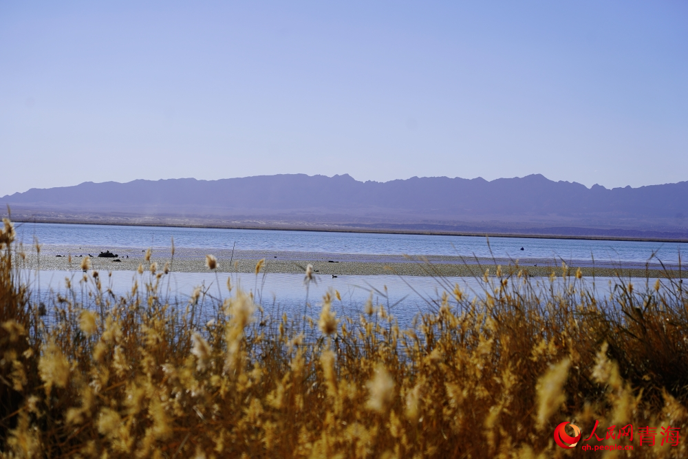 可魯克湖秋色如畫。人民網(wǎng) 陳明菊攝