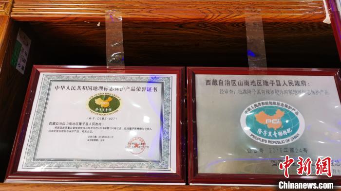 圖為2015年，隆子黑青稞成為中國國家地理標(biāo)志保護(hù)產(chǎn)品?！垈?攝