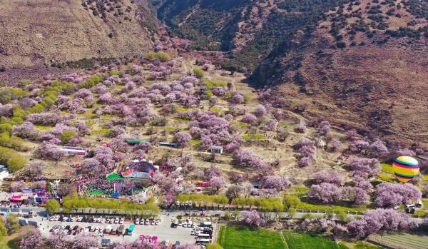 世外桃源！一組圖告訴你，西藏林芝桃花能有多美