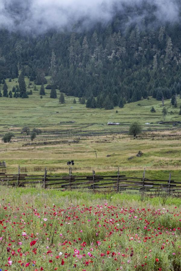 跟我，踏上最美“景觀大道”