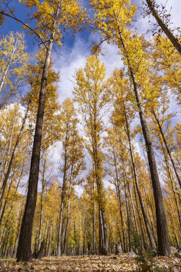 跟我，踏上最美“景觀大道”