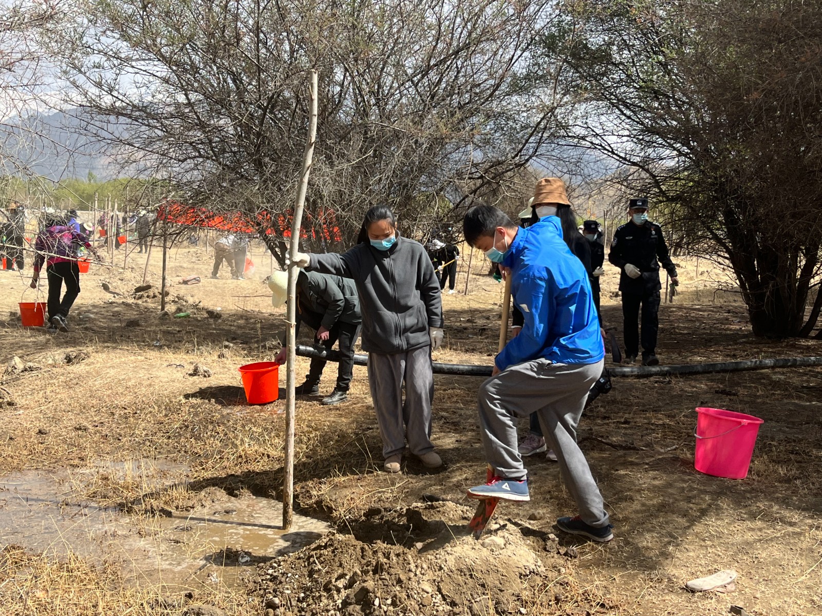 植樹現(xiàn)場(chǎng)，大家分工明確，配合默契(2000565)-20220420090303.jpg