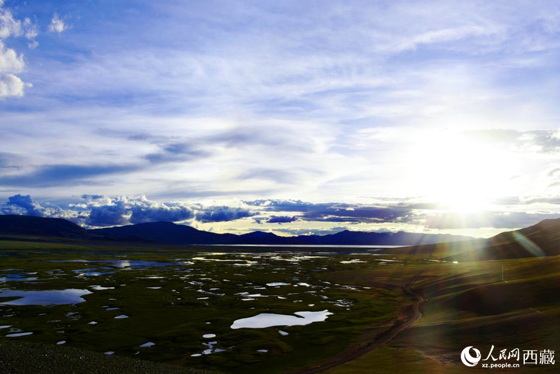 七月的羌塘草原處處是景。人民網(wǎng) 李海霞攝