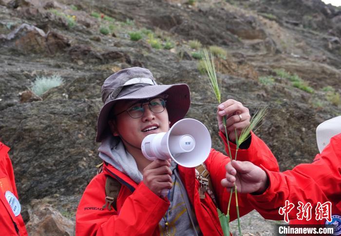青藏科考：青稞如何走上青藏高原？