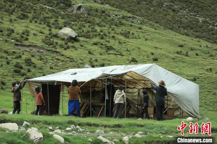 圖為牧民們在秋季牧場搭建帳篷?！÷蹇?攝