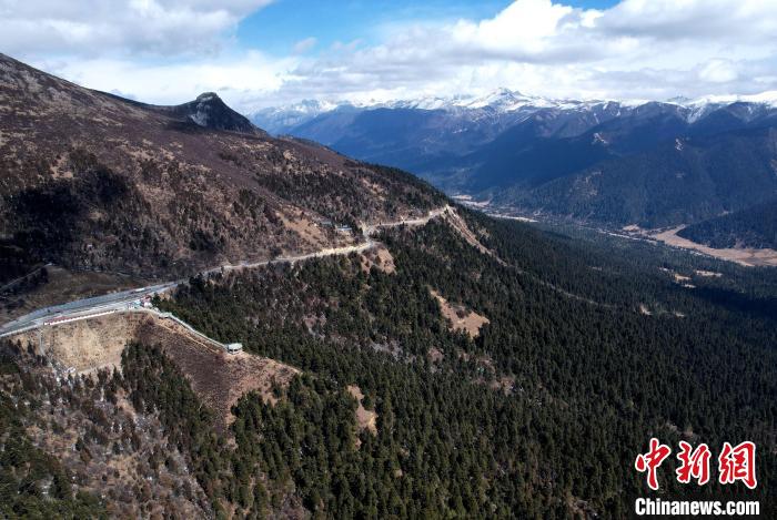 2月17日，西藏林芝魯朗林海。(無人機照片) 李林 攝